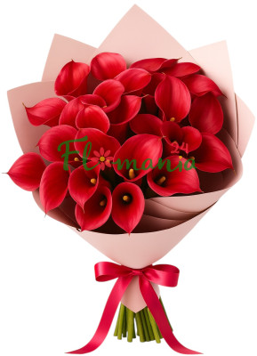 Яркий букет из 29 алых калл